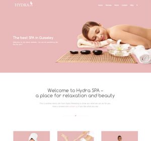 spa website demo, template, theme from Hydra Marketing
